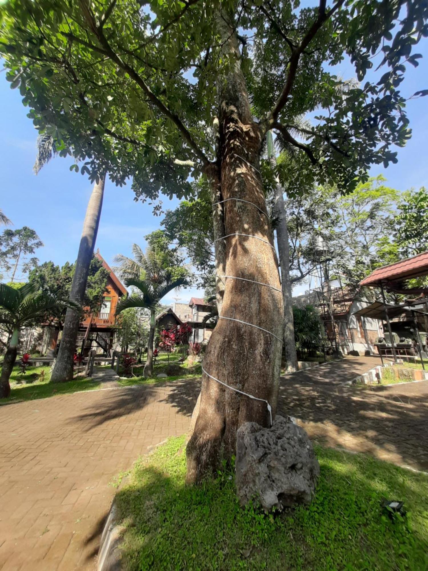 De'Rumah Rindu Alam Batu  Exterior photo